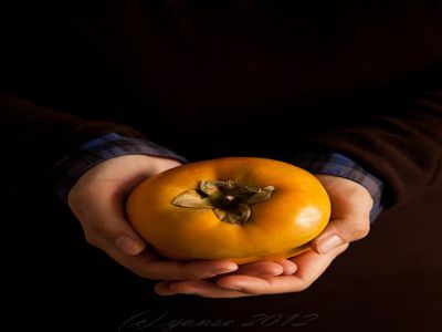 滨江网站建设 滨江网站建设